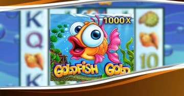 gold fish: สล็อต